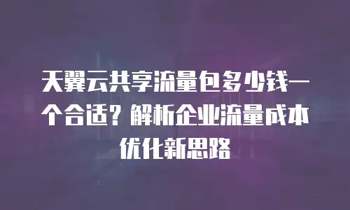 天翼云共享流量包多少钱一个合适？解析企业流量成本优化新思路