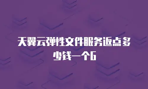 天翼云弹性文件服务返点多少钱一个G