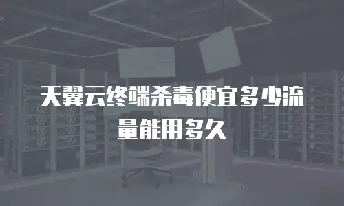 天翼云终端杀毒便宜多少流量能用多久