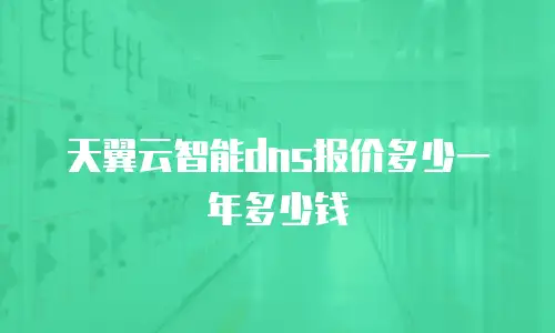 天翼云智能dns报价多少一年多少钱
