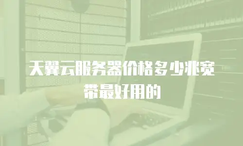 天翼云服务器价格多少兆宽带最好用的