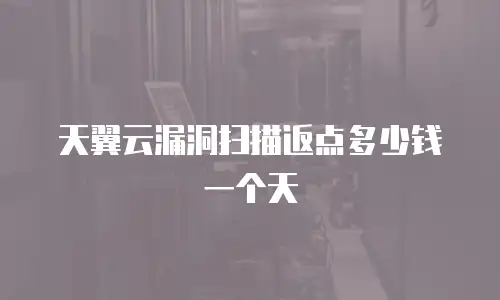 天翼云漏洞扫描返点多少钱一个天