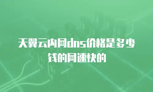 天翼云内网dns价格是多少钱的网速快的