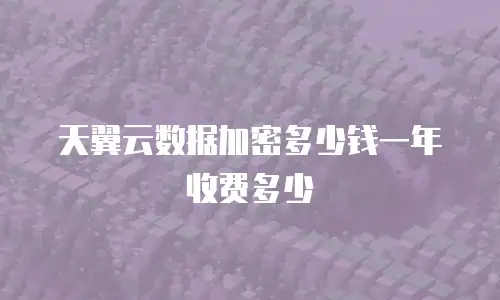 天翼云数据加密多少钱一年收费多少