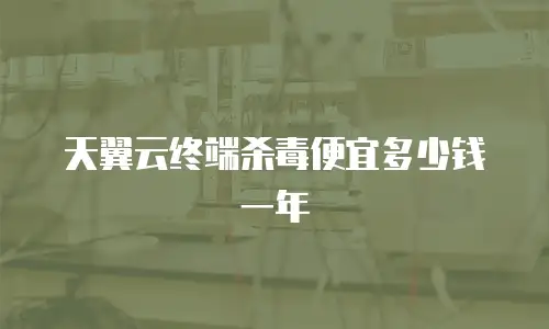 天翼云终端杀毒便宜多少钱一年