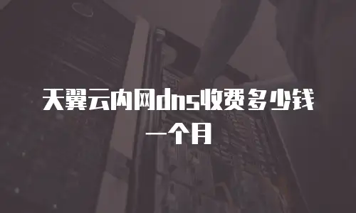 天翼云内网dns收费多少钱一个月