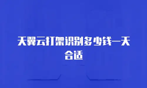 天翼云打架识别多少钱一天合适