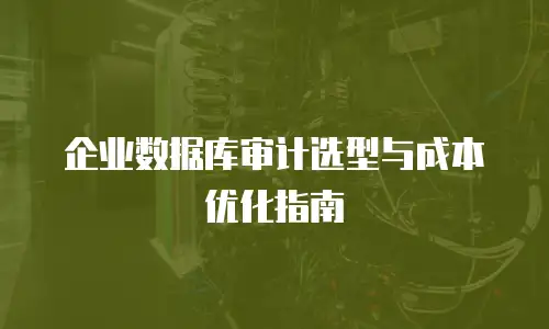企业数据库审计选型与成本优化指南