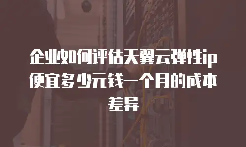 企业如何评估天翼云弹性ip便宜多少元钱一个月的成本差异