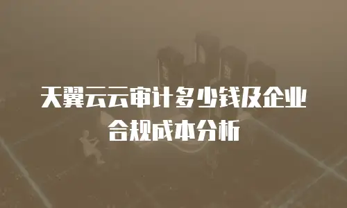 天翼云云审计多少钱及企业合规成本分析