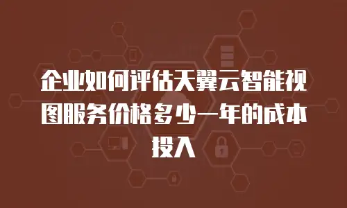 企业如何评估天翼云智能视图服务价格多少一年的成本投入