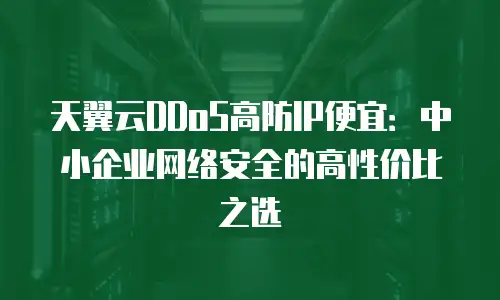 天翼云DDoS高防IP便宜：中小企业网络安全的高性价比之选
