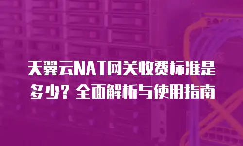 天翼云NAT网关收费标准是多少？全面解析与使用指南