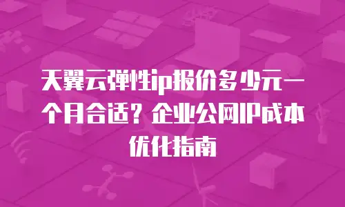 天翼云弹性ip报价多少元一个月合适？企业公网IP成本优化指南