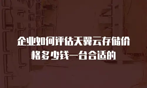 企业如何评估天翼云存储价格多少钱一台合适的