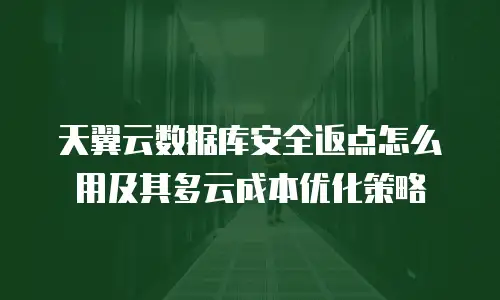 天翼云数据库安全返点怎么用及其多云成本优化策略