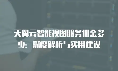 天翼云智能视图服务佣金多少：深度解析与实用建议