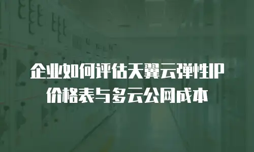 企业如何评估天翼云弹性IP价格表与多云公网成本