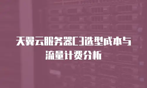 天翼云服务器C3选型成本与流量计费分析