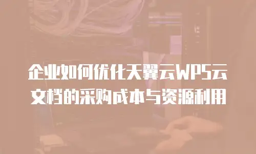 企业如何优化天翼云WPS云文档的采购成本与资源利用