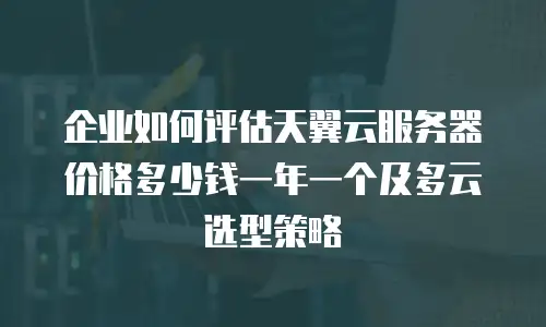 企业如何评估天翼云服务器价格多少钱一年一个及多云选型策略
