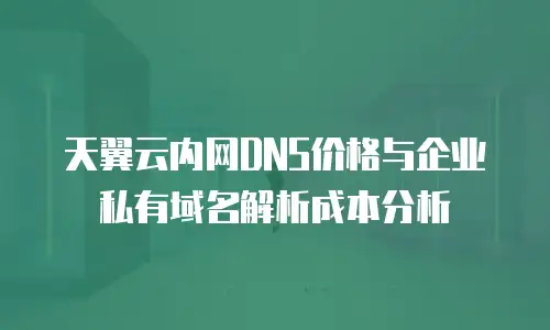 天翼云内网DNS价格与企业私有域名解析成本分析