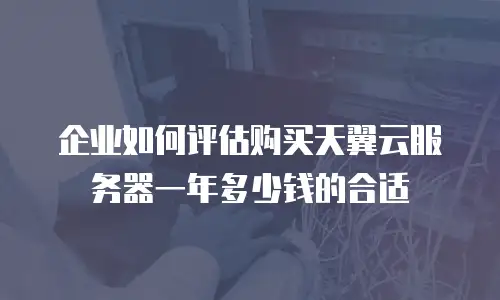 企业如何评估购买天翼云服务器一年多少钱的合适