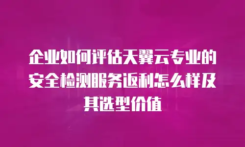 企业如何评估天翼云专业的安全检测服务返利怎么样及其选型价值