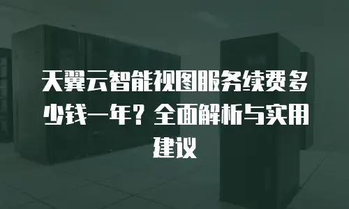 天翼云智能视图服务续费多少钱一年？全面解析与实用建议