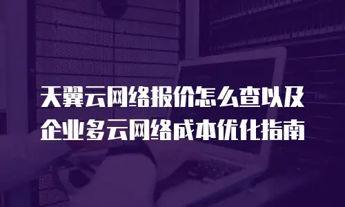 天翼云网络报价怎么查以及企业多云网络成本优化指南