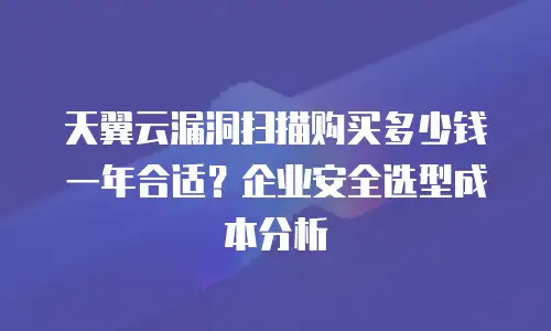 天翼云漏洞扫描购买多少钱一年合适？企业安全选型成本分析