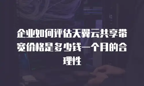 企业如何评估天翼云共享带宽价格是多少钱一个月的合理性