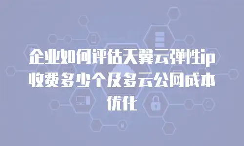 企业如何评估天翼云弹性ip收费多少个及多云公网成本优化
