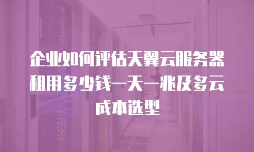 企业如何评估天翼云服务器租用多少钱一天一兆及多云成本选型
