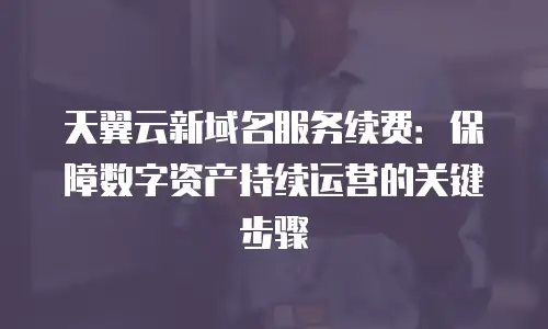 天翼云新域名服务续费：保障数字资产持续运营的关键步骤