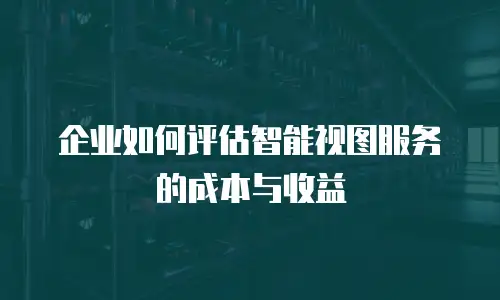 企业如何评估智能视图服务的成本与收益