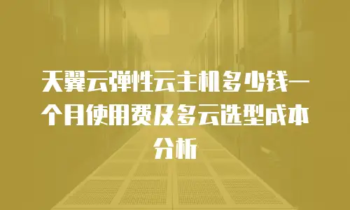 天翼云弹性云主机多少钱一个月使用费及多云选型成本分析