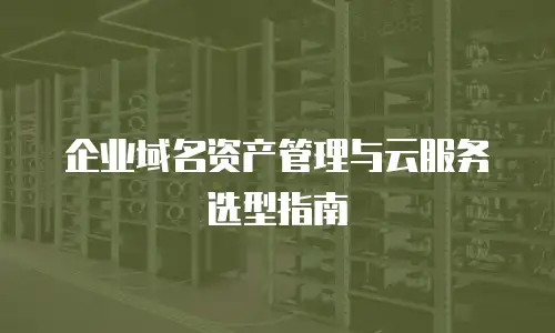 企业域名资产管理与云服务选型指南