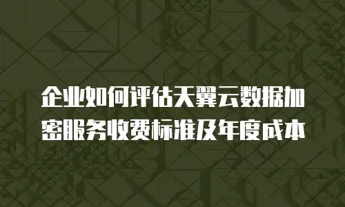 企业如何评估天翼云数据加密服务收费标准及年度成本