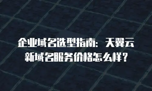 企业域名选型指南：天翼云新域名服务价格怎么样？
