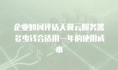 企业如何评估天翼云服务器多少钱合适用一年的使用成本