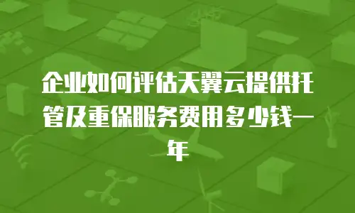 企业如何评估天翼云提供托管及重保服务费用多少钱一年