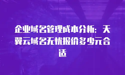 企业域名管理成本分析：天翼云域名无忧报价多少元合适