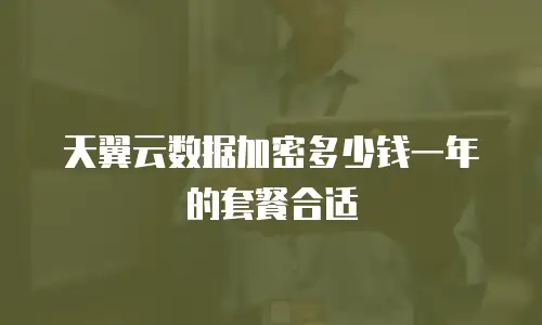 天翼云数据加密多少钱一年的套餐合适