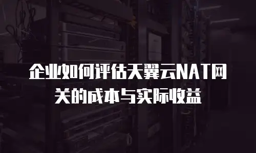 企业如何评估天翼云NAT网关的成本与实际收益