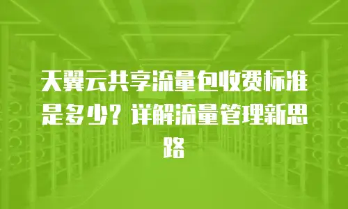 天翼云共享流量包收费标准是多少？详解流量管理新思路