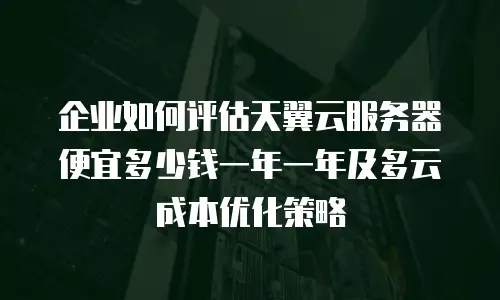 企业如何评估天翼云服务器便宜多少钱一年一年及多云成本优化策略