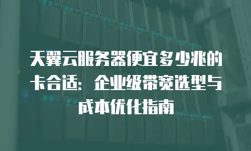 天翼云服务器便宜多少兆的卡合适：企业级带宽选型与成本优化指南