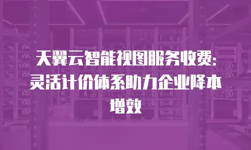 天翼云智能视图服务收费：灵活计价体系助力企业降本增效