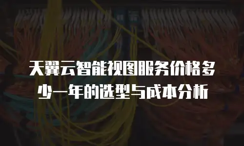 天翼云智能视图服务价格多少一年的选型与成本分析